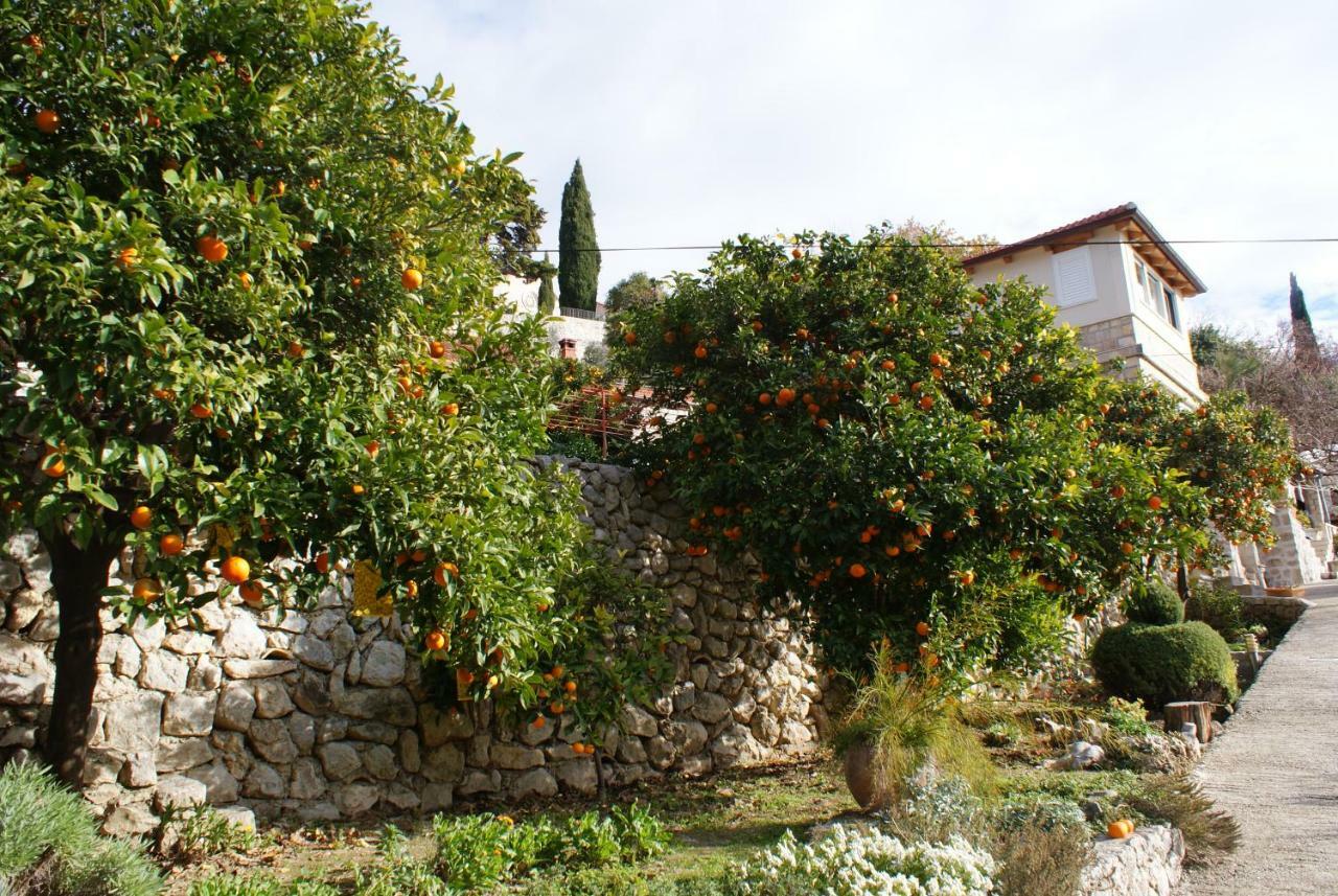 Three Oranges Apartment Trsteno Ngoại thất bức ảnh