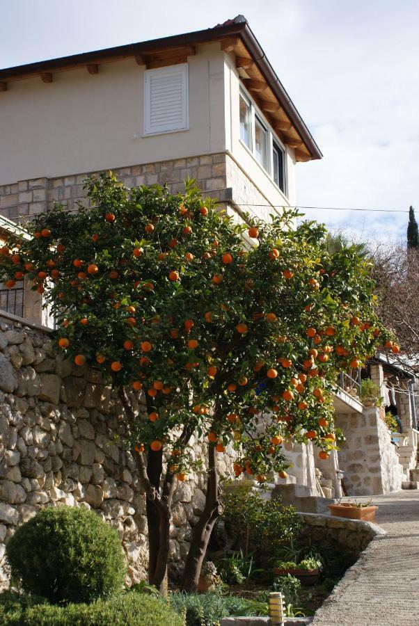 Three Oranges Apartment Trsteno Ngoại thất bức ảnh